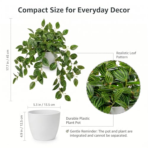 17.7" Artificial Watermelon Peperomia Trailing Plant in White Pot