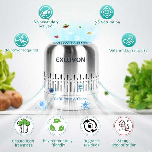 Reusable Stainless Steel Refrigerator Deodorizer & Odor Eliminator