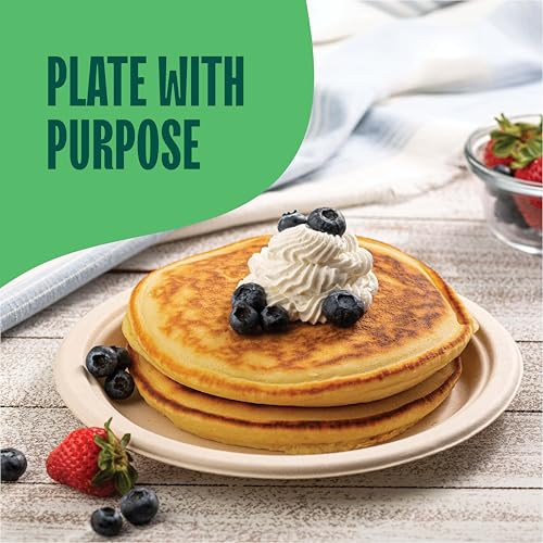 100% Compostable 9 Inch Paper Plates - Heavy Duty Sugarcane Plates (125 Pack)