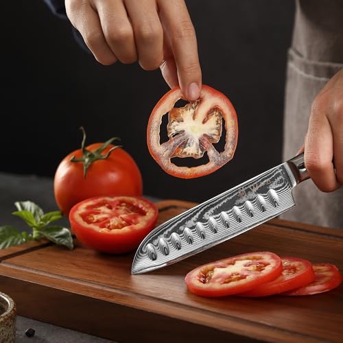 Wakoli Essentials Chef & Santoku Knife Set (2-Piece) VG10 Damascus – 9.26in Chef & 9.1in Santoku