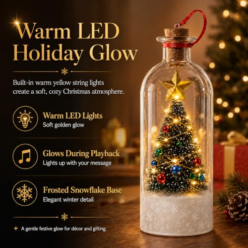 Christmas Message Bottle, 30-Second Voice Recording, LED Lights