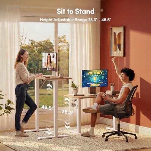 Electric Height Adjustable Standing Desk - 48 x 24 Inch Home Office Desk