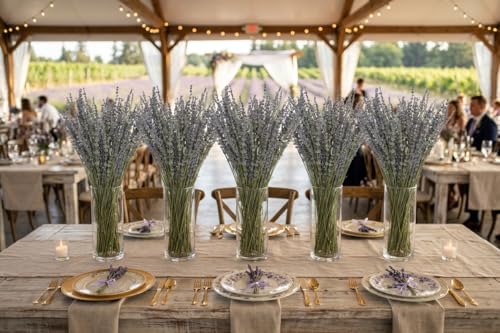 Natural Dried Lavender Flower Bundles (200-220 Stems) - 15-17" Decor