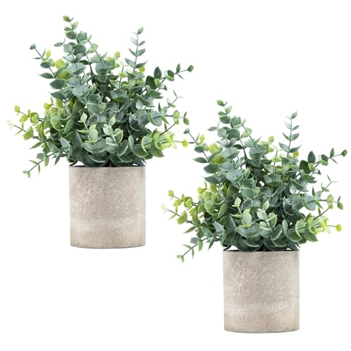 Artificial Potted Eucalyptus Plants (2-Pack) - Small Greenery Decor