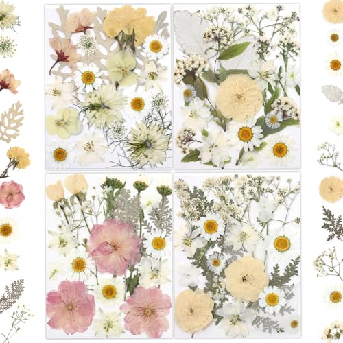 Natural Dried Pressed Flowers with Tweezers for Resin Art & Crafts - 80 Pcs