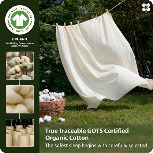 100% Organic Cotton Queen Duvet Cover Set with 2 Pillow Shams - Ivory