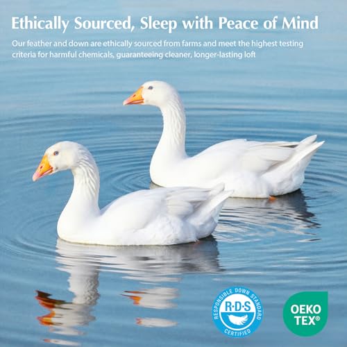 Pacific Coast Lightweight Goose Feather Down Fiber Comforter - King Size White