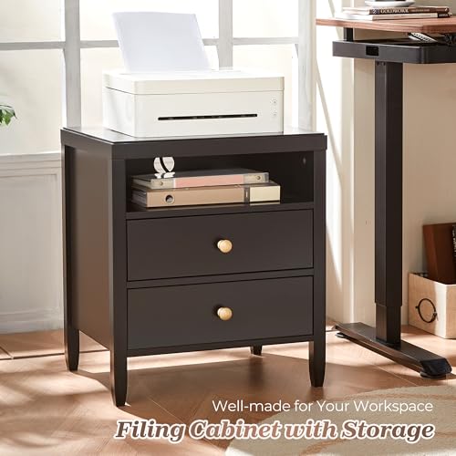 Black Nightstand Set of 2 with Charging Station and 2 Drawers