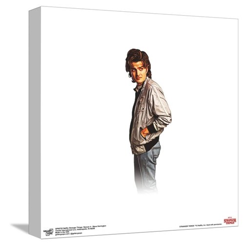 Gallery Pops Netflix Stranger Things: Season 4 - Steve Harrington Canvas Wall Art, Unframed Version, 12" x 12" Gallery Pops Canvas Wall Art