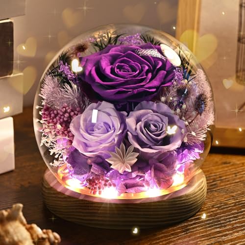 Preserved Purple Rose in Glass Dome with LED Lights, Eternal Flower Gift
