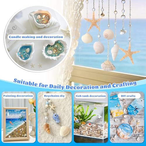 1200 Pcs Natural Mini Seashells & Starfish Set for DIY Crafts & Decor
