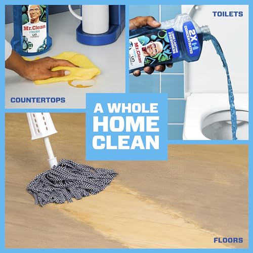 2X Concentrated Multi-Surface Liquid Cleaner - Fresh Scent, 41 fl oz