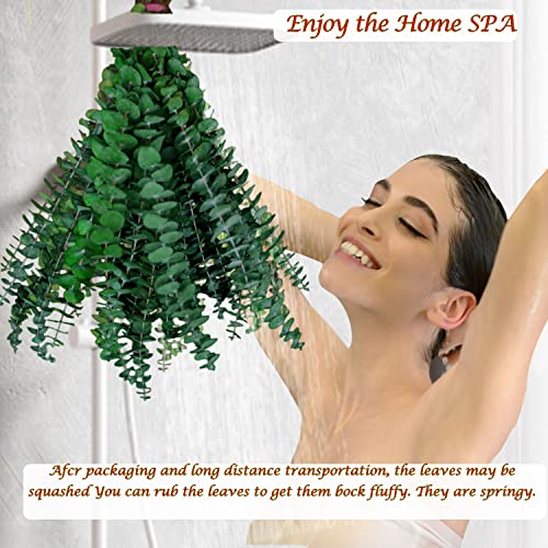Preserved Natural Dried Eucalyptus Stems for Shower - 10 Pack (17 Inch)