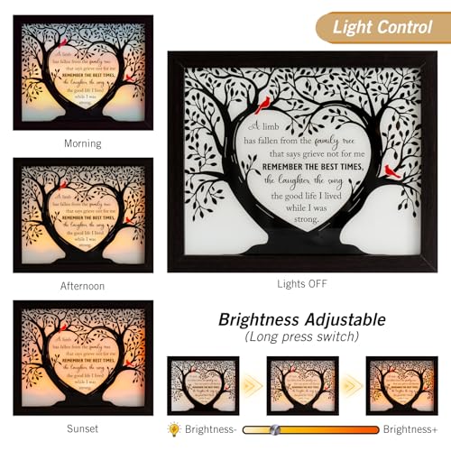 LED Memorial Shadow Box Sympathy Gift for Loss of Loved One