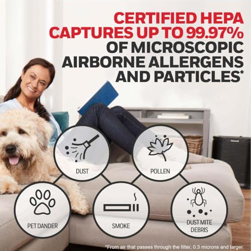 Honeywell HEPA Air Purifier Filter R, 3-Pack Replacement