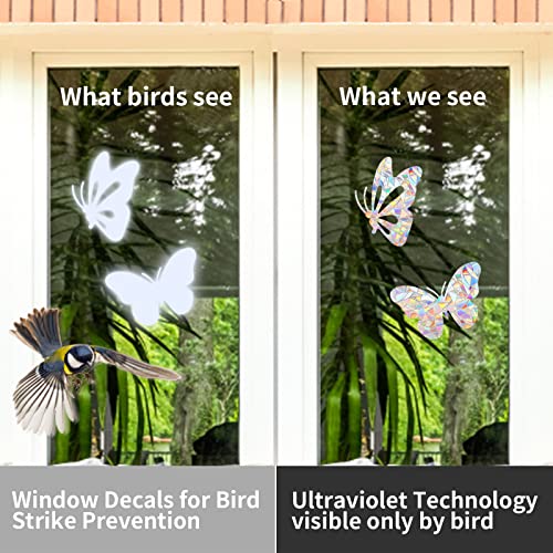 36 Bird Strike Prevention Window Decals - Suncatcher Stickers