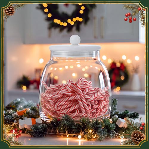 Qinyoung 50 Pcs Candy Cane Christmas Set Glass Jar & Mini Resin Decorations