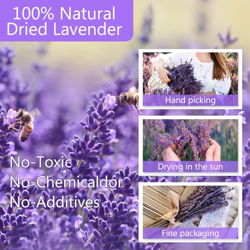 Natural Dried Lavender Bundles (2 Pack, 280 Stems) - 16 Inch Decor