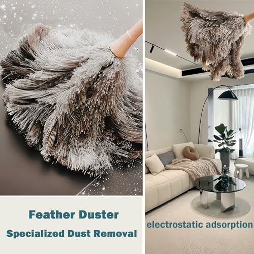 Natural Ostrich Feather Duster with Wooden Handle, 16" Soft Cleaning Brush