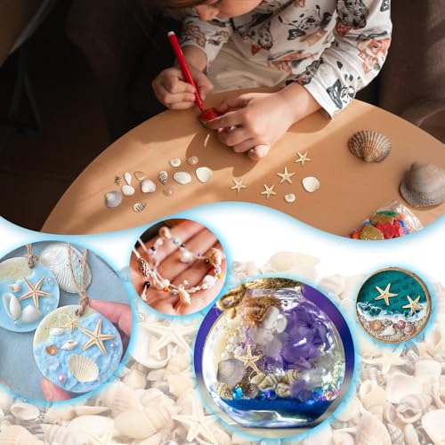 1200 Pcs Small Natural Sea Shells & Starfish for DIY Crafts & Vase Filler