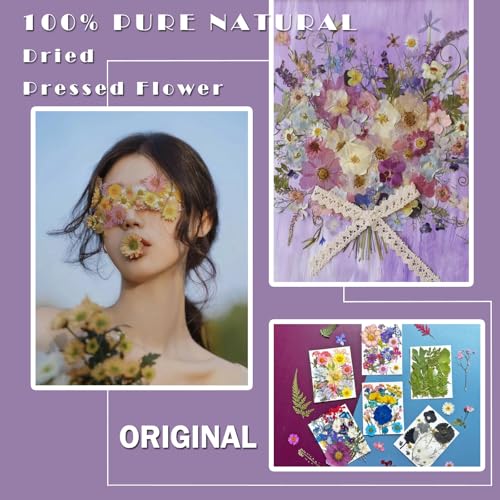 133Pcs Real Dried Pressed Flowers and Leaves for Resin Art and Jewelry