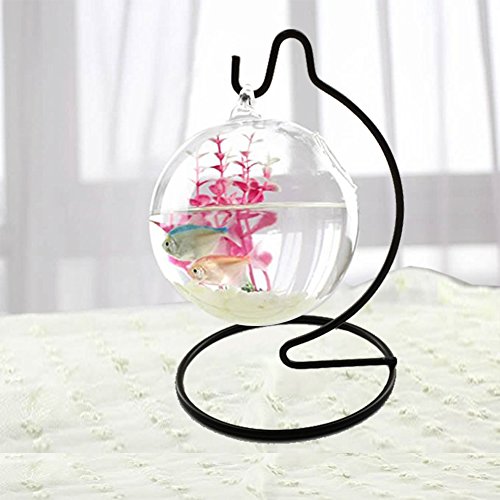 (Black) 6 Inch Ornament Display Stand - Iron Hanging Stand for Glass Globe, Witch Ball, Terrarium & Christmas Ornament (6-Pack)