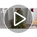 3ft Pre-Lit Real Touch Norfolk Christmas Tree with 50 Warm White LED Lights