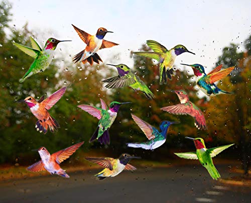 Hummingbird Window Clings - Set of 12 Anti-Collision Decals