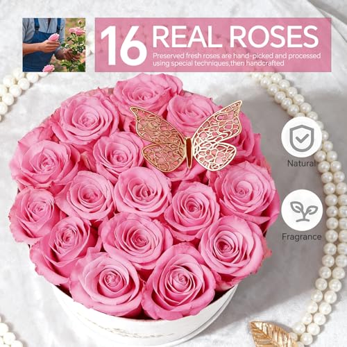 16 Preserved Forever Roses in Luxury Suede Gift Box - Sweet Pink
