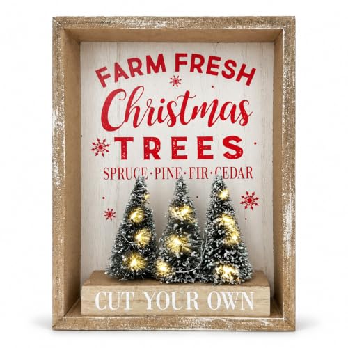 Eternhome Christmas Lighted Tabletop Decor with 6H On/18H Off Timer