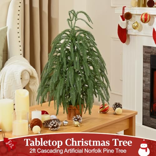 2ft Norfolk Pine Tree with Pot - Siyaluens Tabletop Christmas Tree (1pc, 2ft)