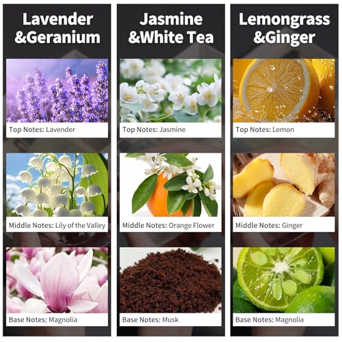 3 Pack Reed Diffuser Set with Lavender Jasmine and Lemongrass Scents