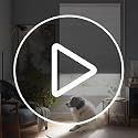 Cordless Blackout Cellular Shades, 35" W x 64" H, White - Thermal Insulated Honeycomb Blinds