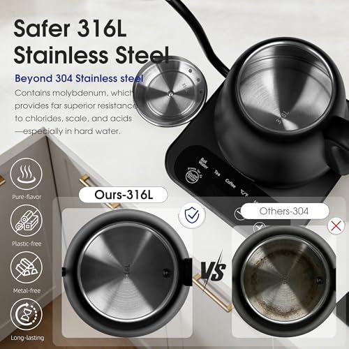 REXYHOME Matte Black 316L Stainless Steel Gooseneck Electric Kettle with Temperature Control