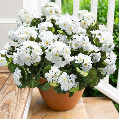 Artificial White Silk Geranium Flowers - UV Resistant Faux Plants (6 Bundles)