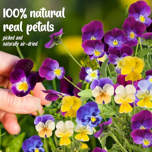 Natural Dried Pressed Edible Flowers for Cake Toppers & DIY Crafts, 40 Pcs
