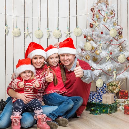Beeveer Coastal Beach Christmas Ornaments Set - Resin Ocean Decor for Holiday Tree