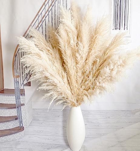 40-Inch Tall Pampas Grass Stems, Set of 10 Dried Floral Decor for Floor Vases