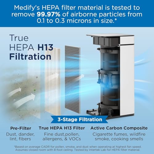 Large Room Air Purifier with HEPA H13 Filter for Smoke and Allergens