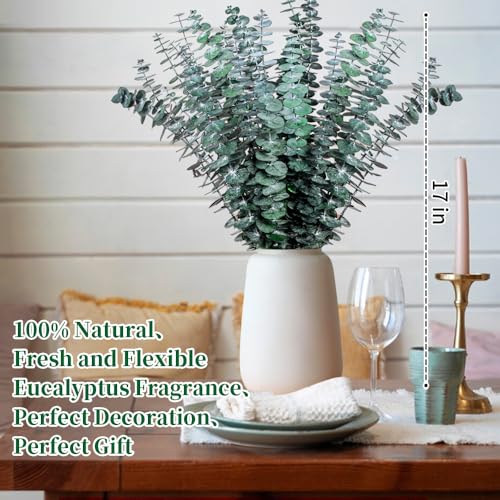 21-Piece Preserved Eucalyptus Stems, 17-Inch Natural Greenery for Decor