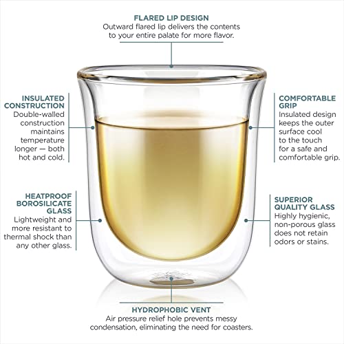 Double-Walled Insulated Glass Cups - 6 oz Borosilicate Set of Two