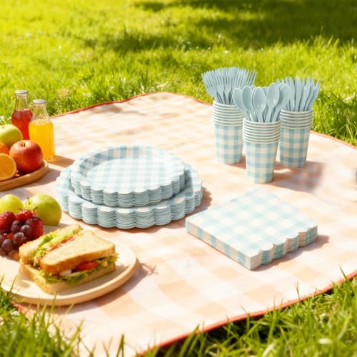 Light Blue Gingham Party Supplies Set for Wedding & Baby Showers - 175 Pieces