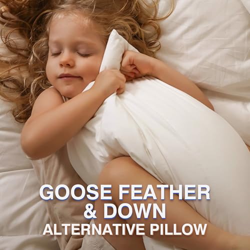 Queen Size Feather Pillows Set of 2 - Soft Goose Down Support