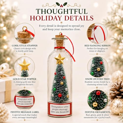 CRILEAL Blue Recordable Christmas Tree Ornament with Snow Scene, 25-Second Voice Message