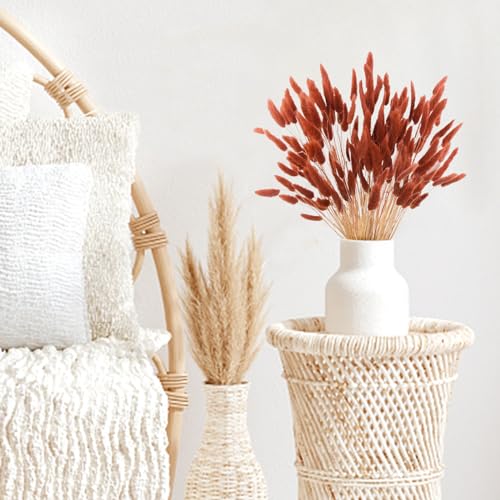 120pcs Burnt Orange Dried Bunny Tails 17-Inch Pampas Grass Boho Decor