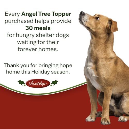 Dog Angel Christmas Tree Topper with LED Lighted Halo & Wings Decor