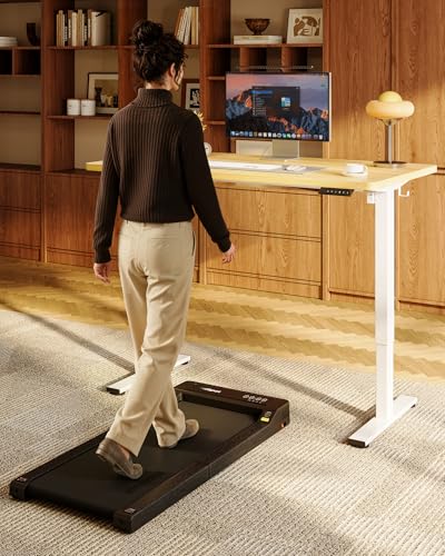 Electric Standing Desk with 4 Memory Presets - 48"x24" One-Piece Top (Maple/White)