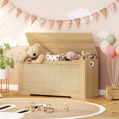 39-inch Storage Chest with Safety Hinges, Toy Box & Entryway Shoe Bench