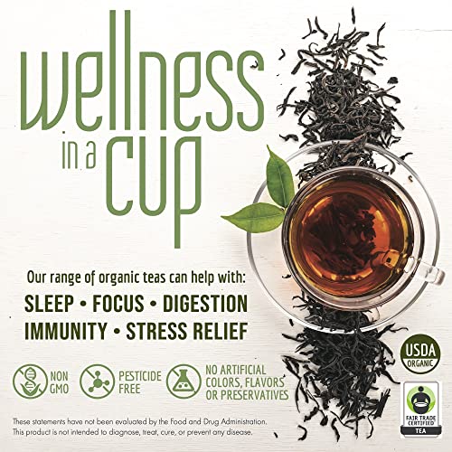 Davidson's Organic Christmas Tea Loose Leaf 16oz - Holiday Spiced Black Tea