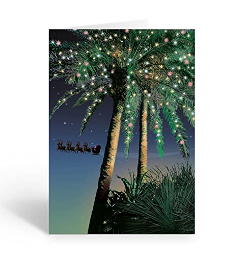 Stonehouse Collection Tropical Christmas Cards - Standard Pack, 18 Holiday Greetings